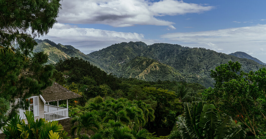 Exploring Kingston, Jamaica: Cultural Insights and Travel Tips