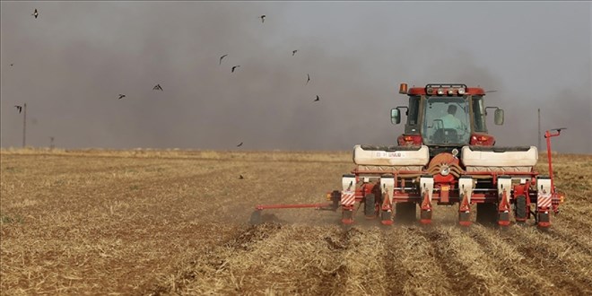Turkey’s Ministry of Agriculture Warns Farmers of Severe Weather Risks, Urges Insurance Coverage