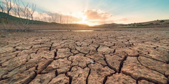 Historic drought reshapes continents while Türkiye faces rising environmental threats