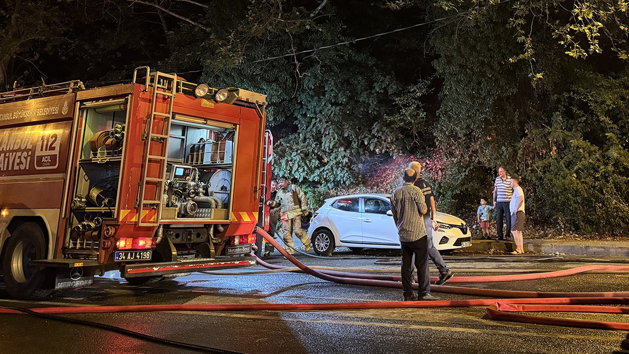İstanbul'da orman yangını! Ekipler sevk edildi - Dünya Gazetesi