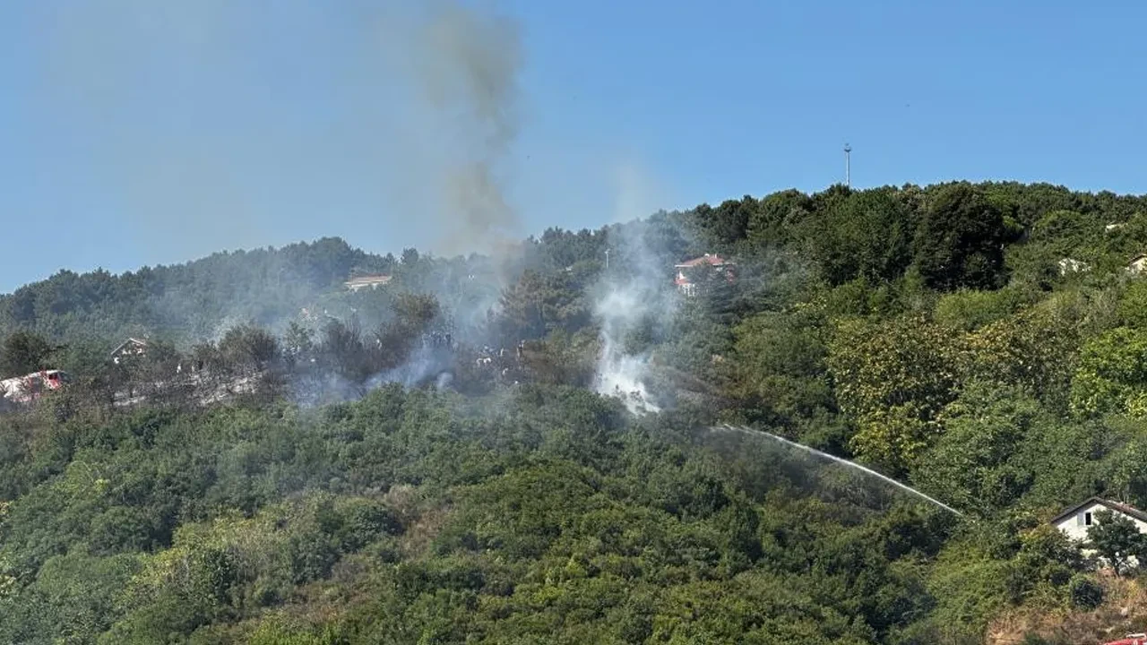 İstanbul Beykoz'da orman yangını! Bölgeye çok sayıda ekip sevk edildi |  TGRT Haber