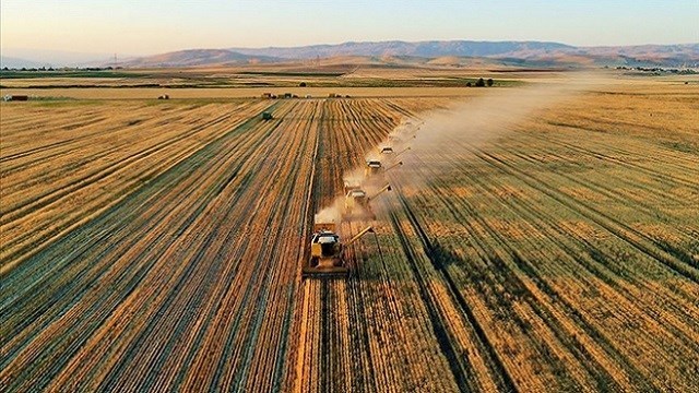 Rusya-Ukrayna savaşı tarıma "pozitif ayrımcılık" adımlarını hızlandırdı - Türkistan'dan - Haber - TRT Avaz