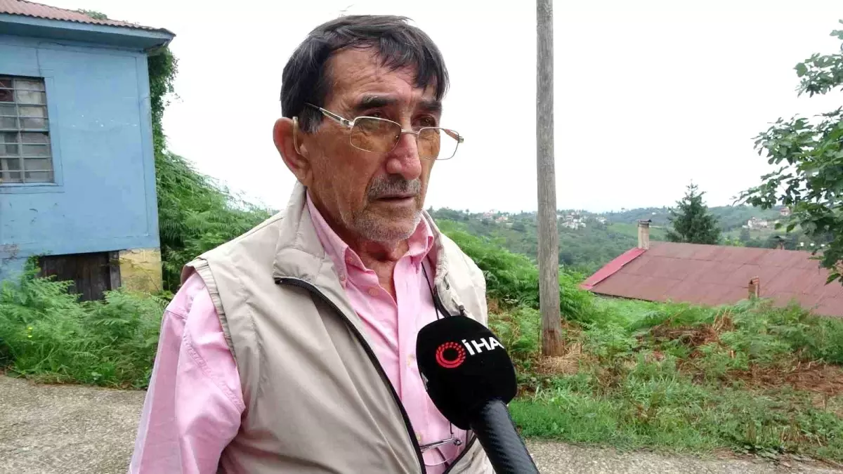 Dr. Cahit Yılmaz'dan Çini Sözlüğü - Son Dakika