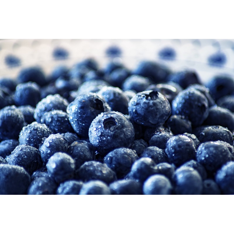 Yaban Mersini Meyvesi Blueberry Maviyemiş 500 gr
