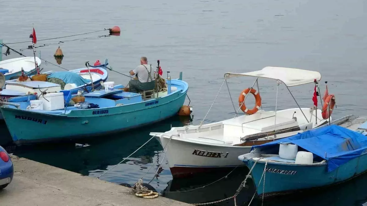 Karadeniz'de Palamut Sezonu İçin Umut Verici İşaretler - Haberler