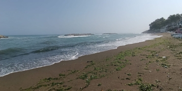 coastal-restrictions-grow-as-two-more-provinces-face-swimming-bans-fcCUJ6h5.jpg