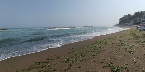 Coastal restrictions grow as two more provinces face swimming bans