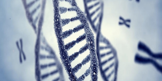 DNA Code Unveils Hidden Heart Attack Risk Linked to Diabetes