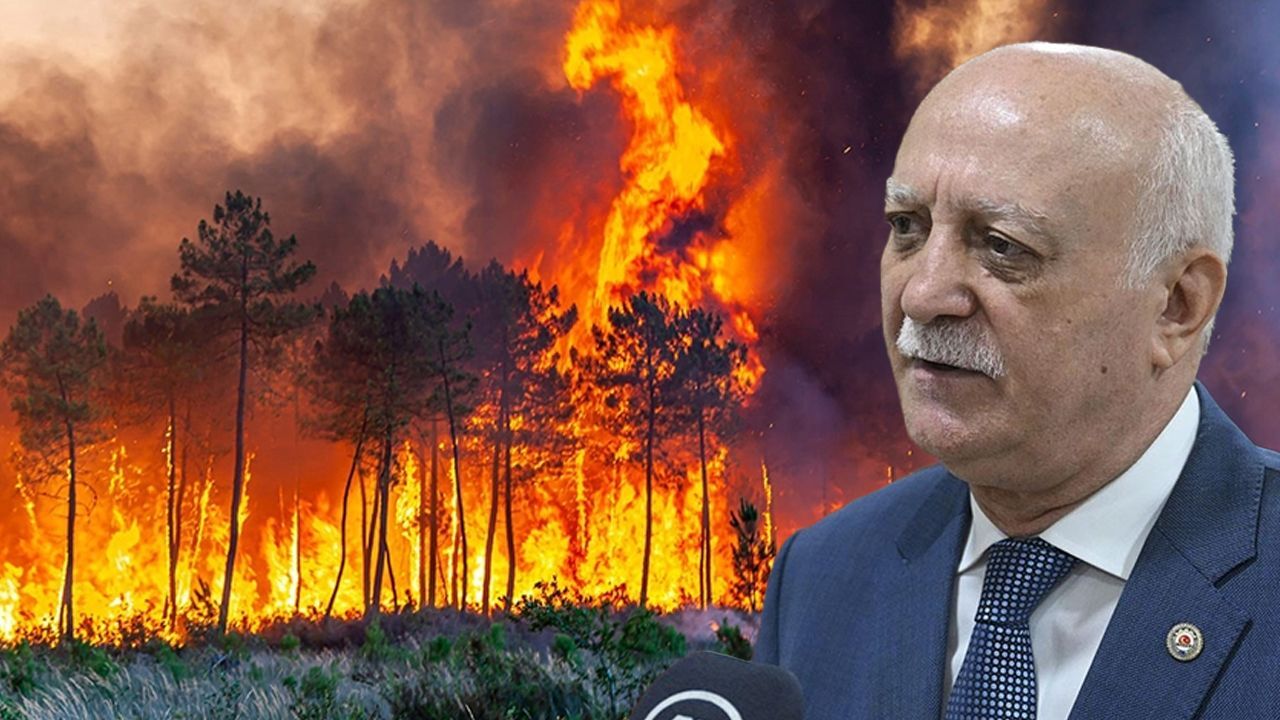 TZOB Başkanı Bayraktar'dan orman yangınlarıyla ilgili açıklama: Toplumsal  bilinç şart | Türkiye Gazetesi