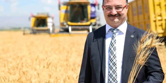 Erzurum Plain marks the beginning of wheat harvest season with celebrations