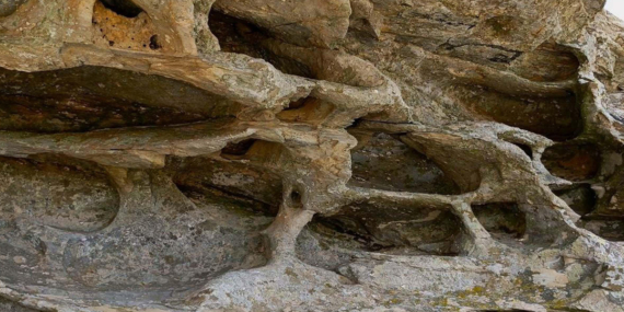 Historic Rock Art Unearthed in Aydın Now Officially Protected