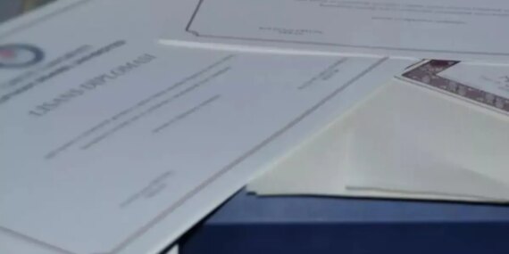 Inside the Discovery of the Fake Diploma Network