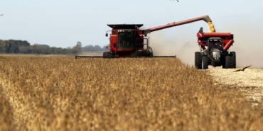 july-sees-an-increase-in-global-food-prices-kYyIhCa4.jpg