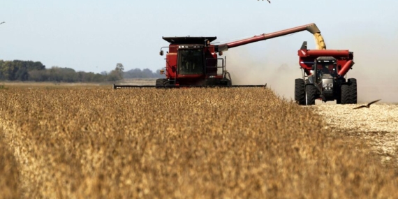 July Sees an Increase in Global Food Prices