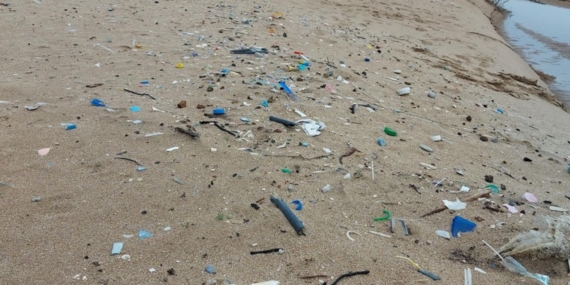 Marine Waste Map Reveals the Hidden Pollution of Türkiye’s Black Sea Coast