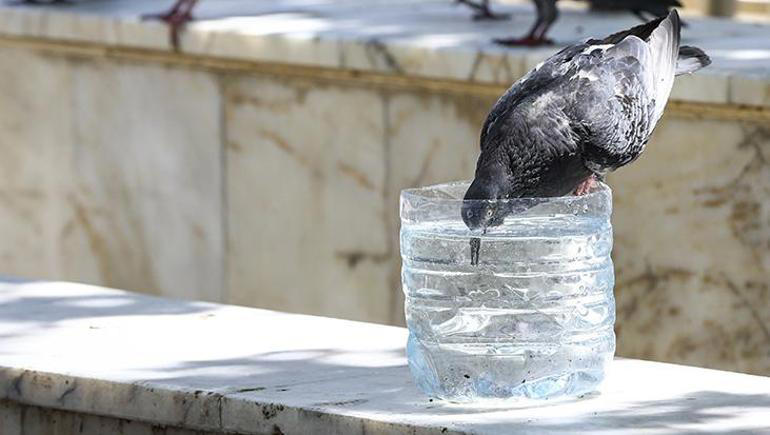 İstanbul ve yurt genelinde sıcaklık alarmı: Yeni haftada 40 derece rekor  sıcaklarla geliyor