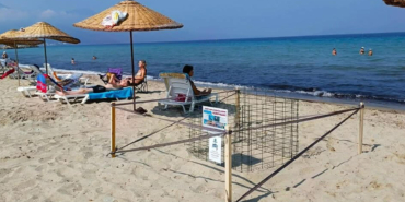 new-life-emerges-from-unexpected-nest-on-kusadasi-coastline-ygJISQL7.jpg