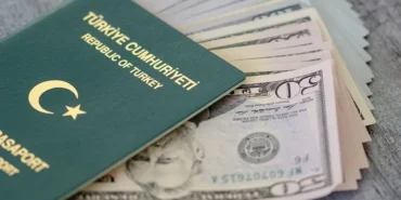 new-rules-for-green-passports-tighten-requirements-for-exporters-P6v1rvti.webp