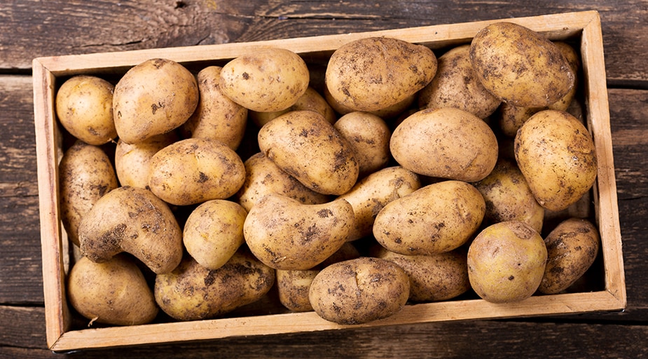 Patates Uzun Süre Nasıl Saklanır? Patates Nerede Saklanır? | UFS