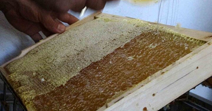 Türkiye'deki nadir yerlerden bir tanesi: Coğrafi işaretli balın hasadı  başladı, kilosu bin 500 TL'den satılıyor | Ardahan Haberleri