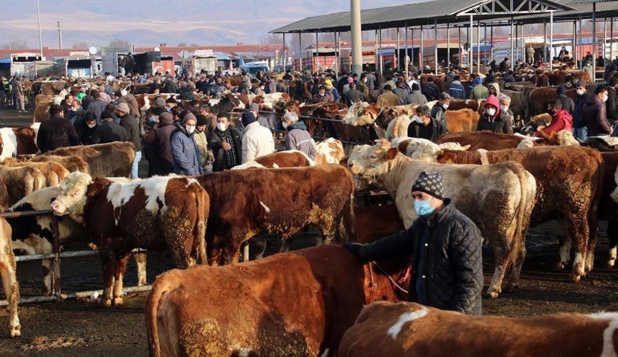 Hayvan pazarları ne zaman açılacak? Türkiye geneli hayvan pazarları ne zaman  açılır? - Bigpara Ekonomi Haberleri