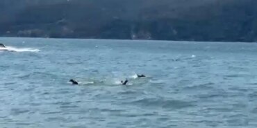 tragedy-in-istanbul-as-young-man-dies-in-boat-accident-rUOhJDCi.jpg