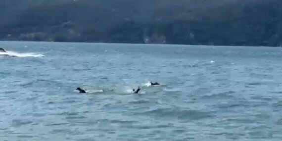 Tragedy in İstanbul as Young Man Dies in Boat Accident