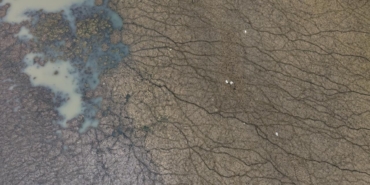 turkiye-faces-a-bitter-reality-as-lake-beysehir-dries-up-RhmkmQpp.jpg