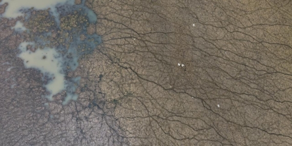 Türkiye Faces a Bitter Reality as Lake Beyşehir Dries Up