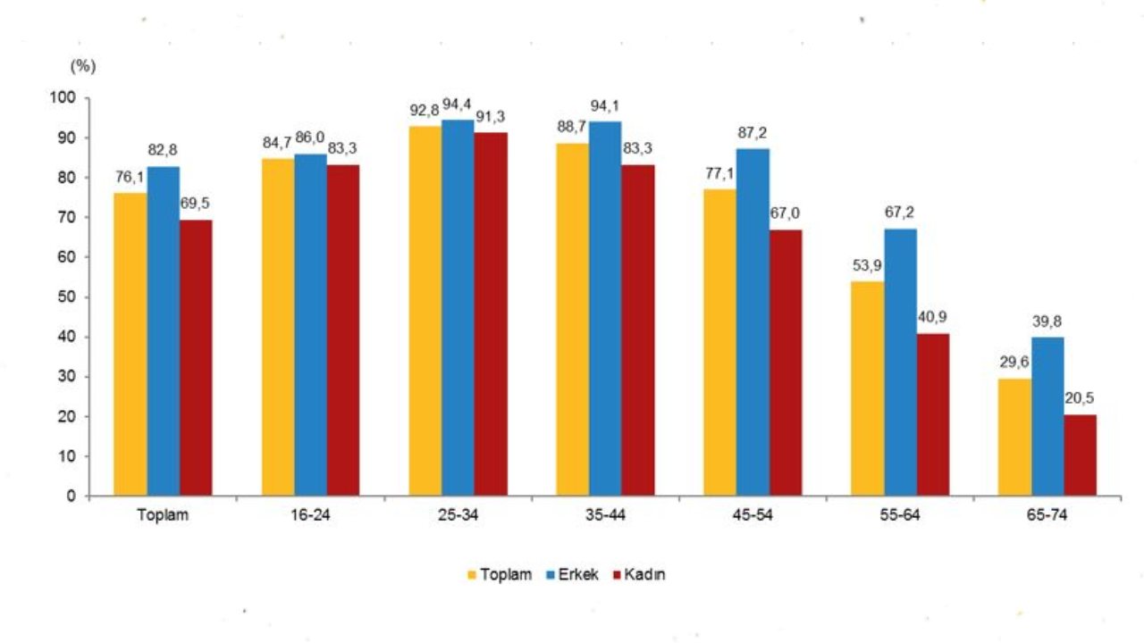 TÜİK Açıkladı: Türkiye'de İnternet Kullanım Oranı %90'ı Geçti, En Çok Kullanılan Uygulamalar Belli Oldu – Shafaqna Türkçe | Uluslararası Şii Haber Ajansı ve Analiz Merkezi