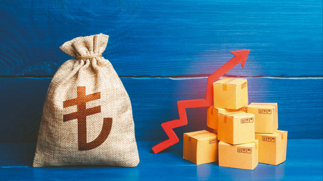 TL ile 6 ayda 700 milyarlık dış ticaret yaptık | Ekonomi Haberleri
