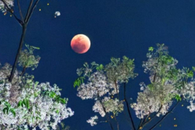 blood-moon-spectacle-captivates-different-corners-of-the-world-Eg6CSZQq.jpg