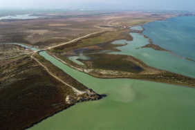 goksu-delta-a-sanctuary-for-migratory-birds-1NQdsuKO.jpg