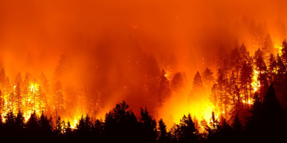 The search for accountability in Türkiye’s raging fires